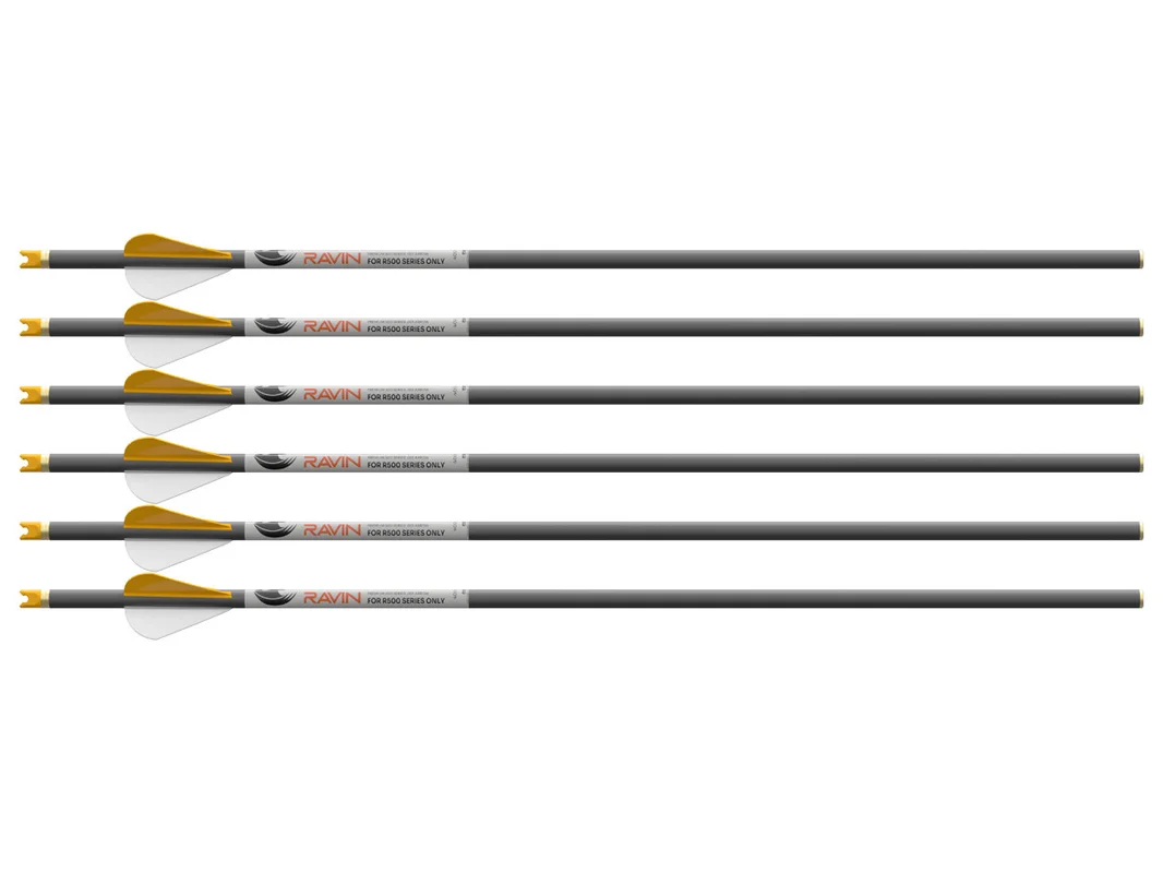 2026_06_22_1693213