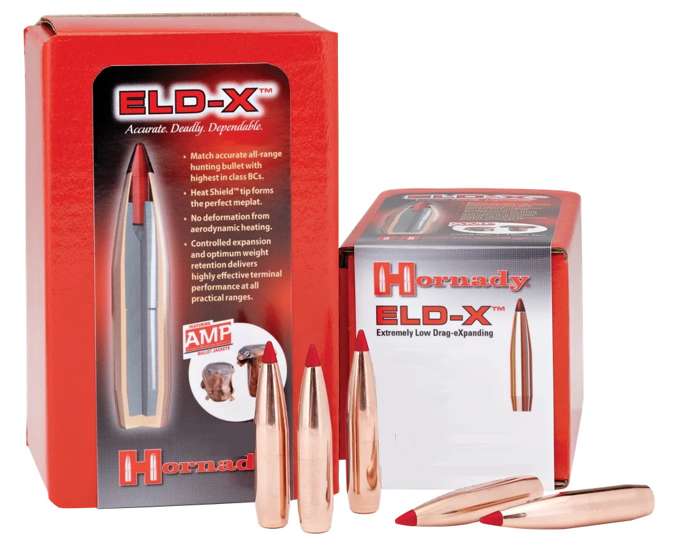 2026_06_22_1707269