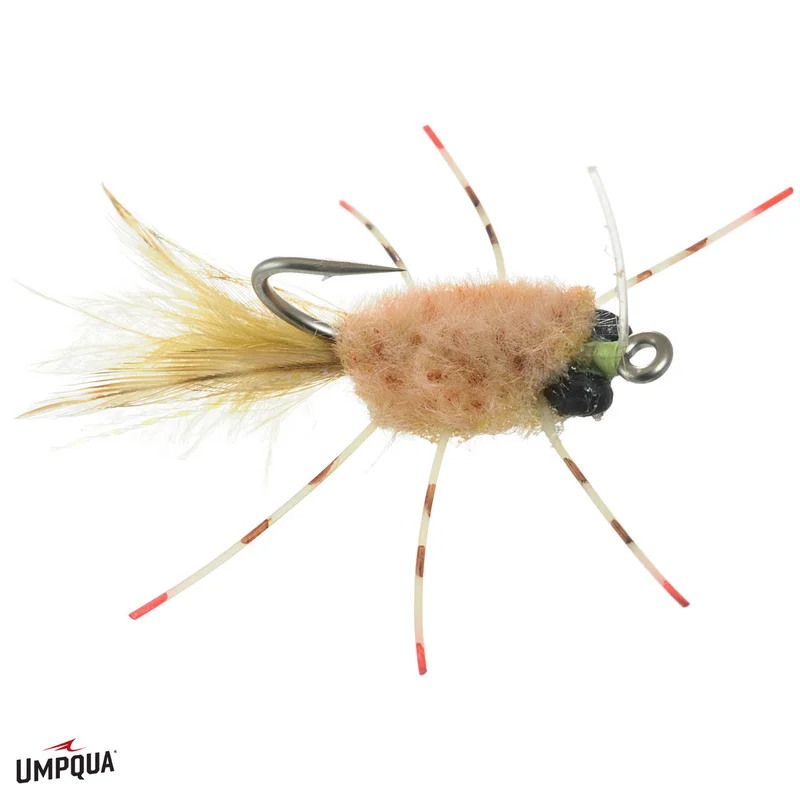 2026_06_23_1849977